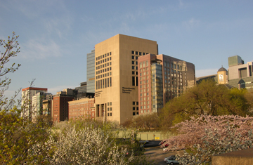 Mass Eye and Ear Infirmary