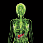 Scientists at Massachusetts General Hospital and Boston University are testing an artificial pancreas that regulates glucose continuously and automatically.<br/><br/>Photo by Sebastian Kaulitzki<br/>iStockphoto.com 