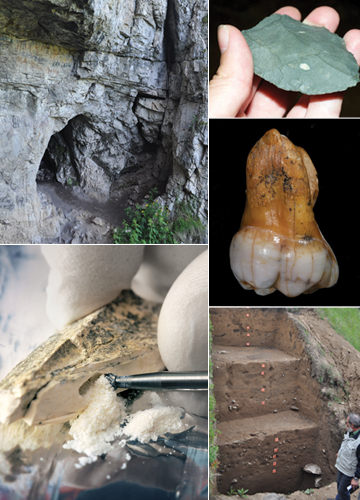 ANCIENT HISTORY: The layers of sediment excavated in Denisova Cave (top left) and its surroundings have yielded such artifacts as chipping tools (top right), a fragment of a pinky bone, and a molar. DNA in the bone and molar led to the identification of a new hominin group, the Denisovans.<br/>Photos courtesy of David Reich (top left, top right, bottom right); Photo courtesy of the Max Planck Institute for Evolutionary Anthropology (bottom left, middle right)