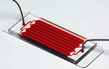 The second-generation CTC chip, developed at the Massachusetts General Hospital Center for Engineering in Medicine, was used to capture circulating tumor cells from blood samples of breast cancer patients, which were then analyzed for the presence of epithelial and mesenchymal marker proteins. Photo courtesy of the Mass General Cancer Center.