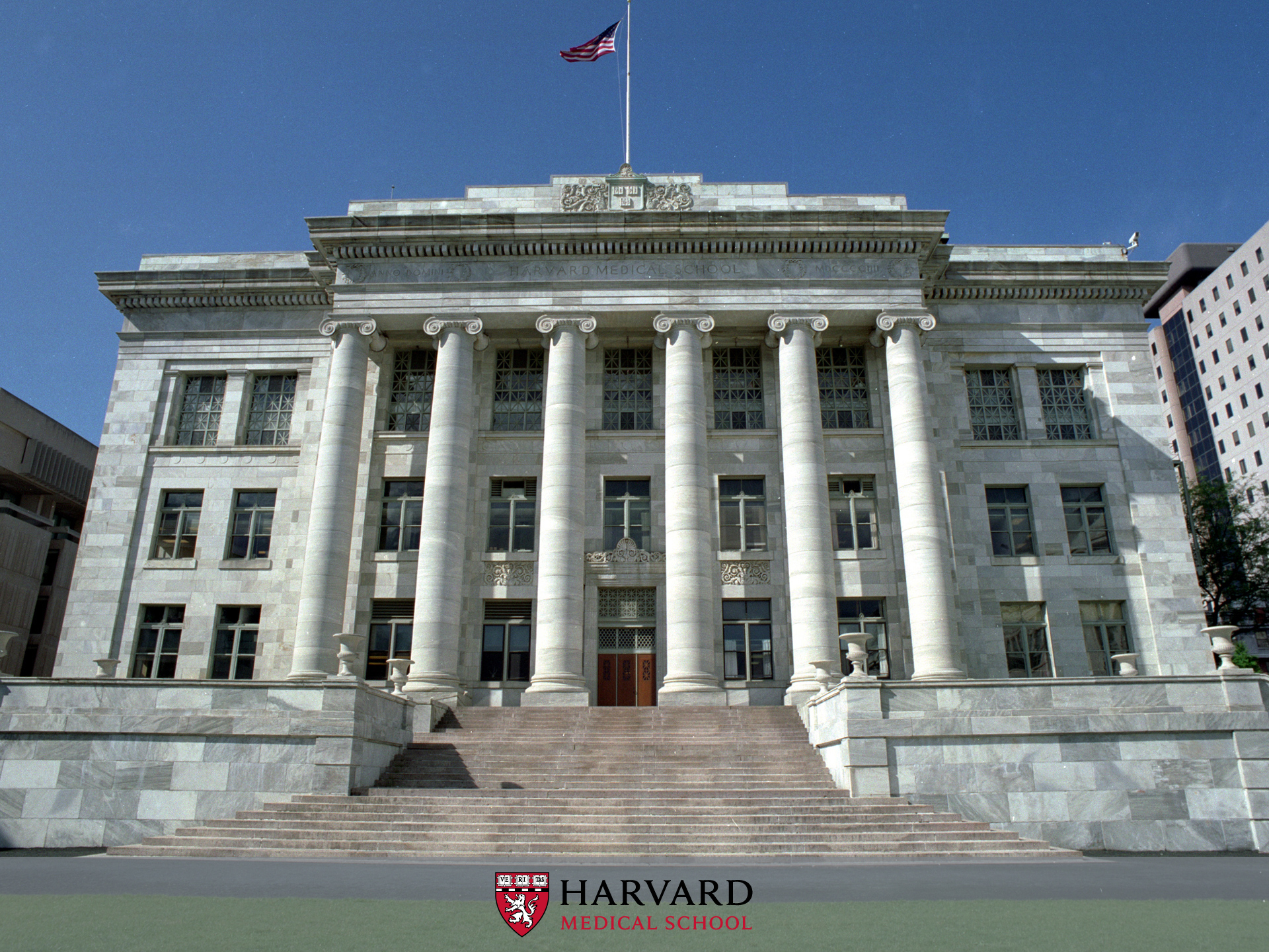 Harvard Medical School Training Programs