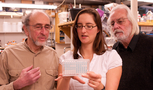 Warfarin and related clinical anticoagulants interfere with the growth of tuberculosis and with the bacterial version of the drug’s target in humans, report (from left) Jon Beckwith, Rachel Dutton, Dana Boyd and their coauthors. The findings allow the researchers to screen for better inhibitors of tuberculosis and for anticoagulants. Photo by Joshua Touster.