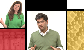 Science Matters video series