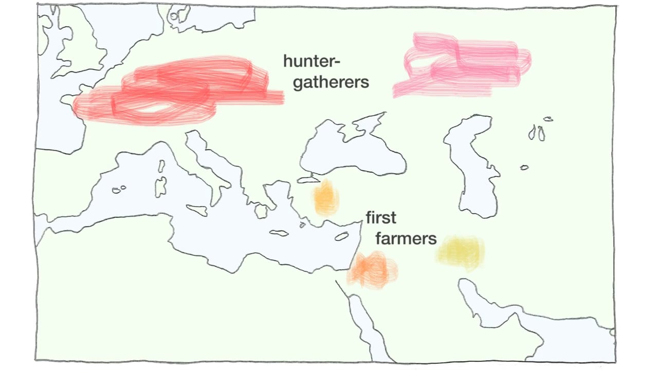 Genetic analyses reveal a collection of highly distinct groups in the Near East and Europe at the dawn of agriculture. These groups mixed and migrated to form the relatively homogeneous populations seen in the region today. Animation: Rick Groleau