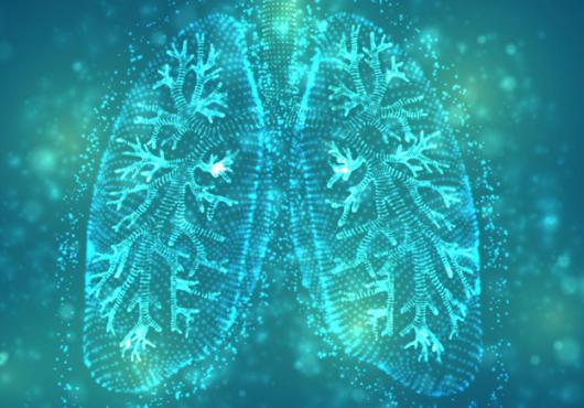 A stylized image of human lungs in blue and green