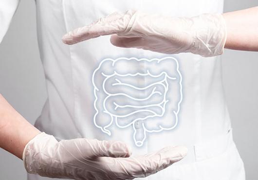 Closeup of a colon against a physicians' white coat and white gloves