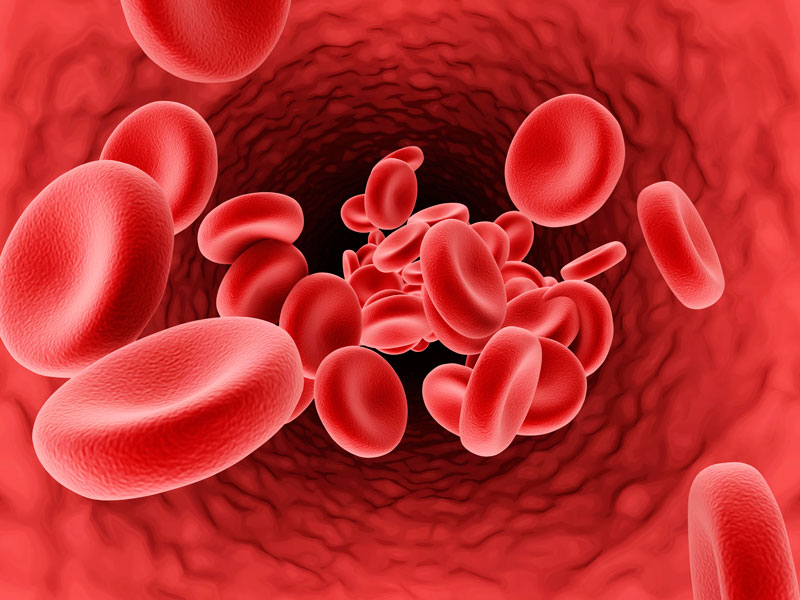 stock image of red blood cells