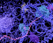 Gauging RNA velocity could give scientists insight into how cells make decisions.