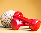 brain and hand weights