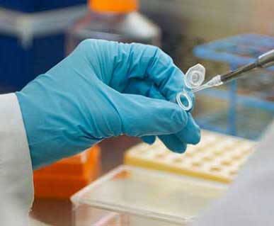 Gloved hand using pipette with test tube 