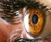 close up of brown eye