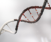 Illustration of broken DNA string 
