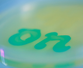 the word on in a petri dish