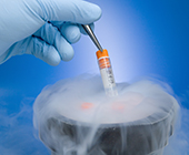cryopreservation of tube