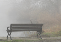 image of empty bench in a park in the fog