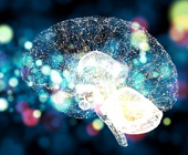 illustration of illuminated brain