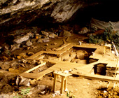 Archaeological excavation with boards set up over soil beneath a rock overhang