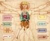 da Vinci's Vitruvian Man overlayed with illustrations of human organs and organs on a chip