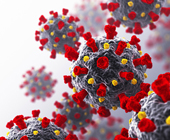 digital illustration of coronavirus