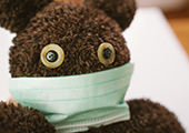 photo of teddy bear with medical mask on
