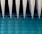 Row of pipettes over a tray of vials