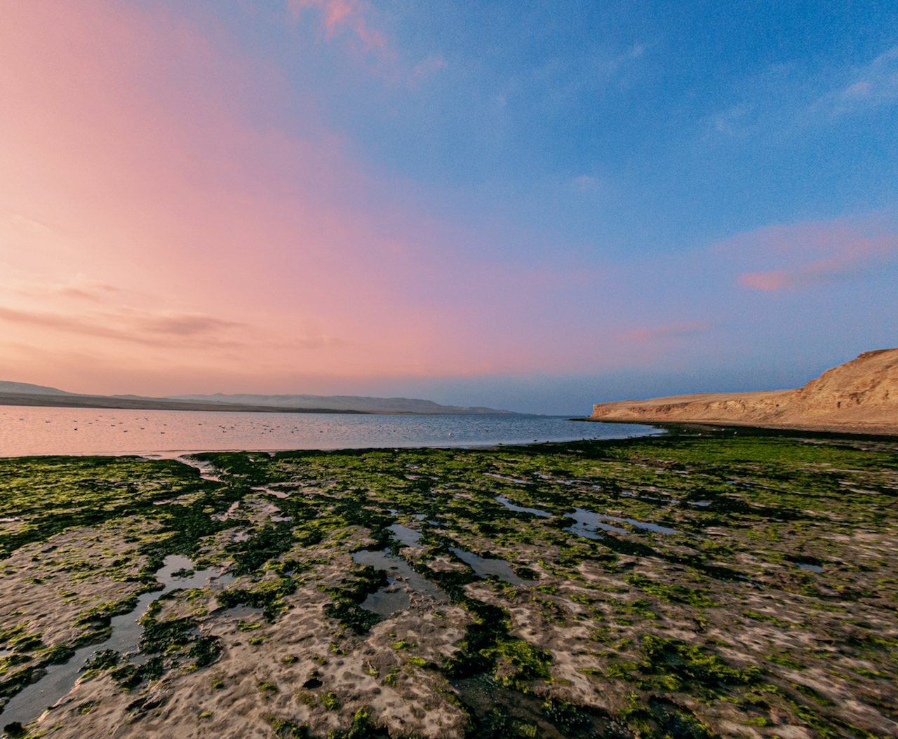 photo of paracas peru