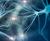 digital illustration of neurons