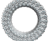 illustration in grayscale of a ring with 27 identical, vertebrae-like pieces