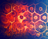 Digital illustration of blood cells