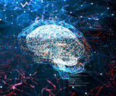 digital image of a brain