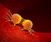 3D illustration of a pair of cancer cells