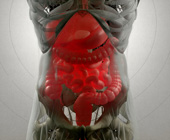 digital xray image of the gut