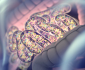 colorful digital illustration of bacteria in the gut