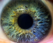 Close up photo of a greenish blue human iris 