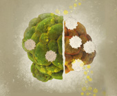 tumor obese vs nonobese