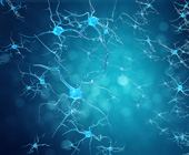 digital illustration of neurons
