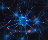 digital image of neurons
