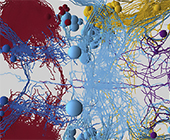 close up of neural cluster