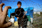 Photo of child through chicken wire