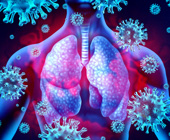 digital illustration of anatomy in human showing lungs and coronavirus cells overlay