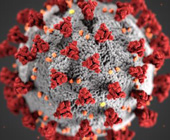 Digital illustration of SARS-CoV-2 showing spike proteins in red