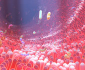 digital illustration of the the gut microbiome