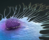 Digital illustration of a single breast cancer cell spreading