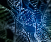 digital illustration of DNA helixes in blue and green