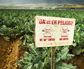 Photo of field growing produce with sign warning of toxins