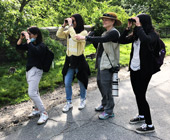 Four women birding, three with binoculars, one pointing