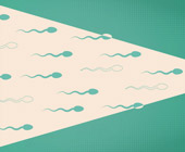 illustration of sperm swimming in green and tan