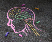 Illustration of a human head and brain chalk drawing 