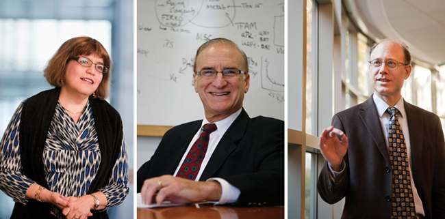 series of portraits: Eleftheria Maratos-Flier, David Ludwig, and C. Ronald Kahn