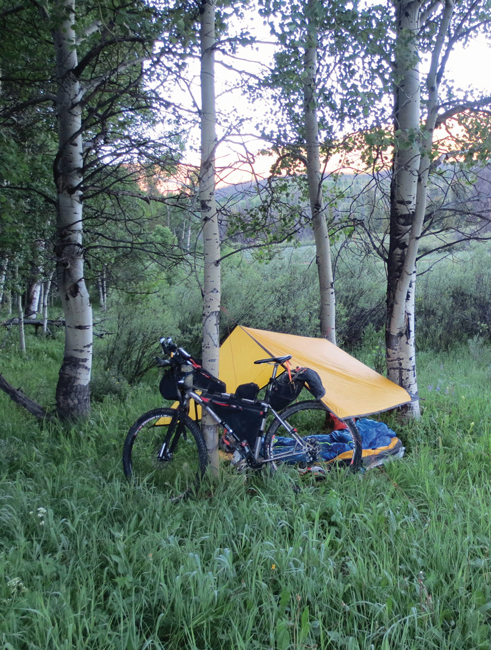field with trees in which a tent is pitched, with a touring bicycle propped against a tre